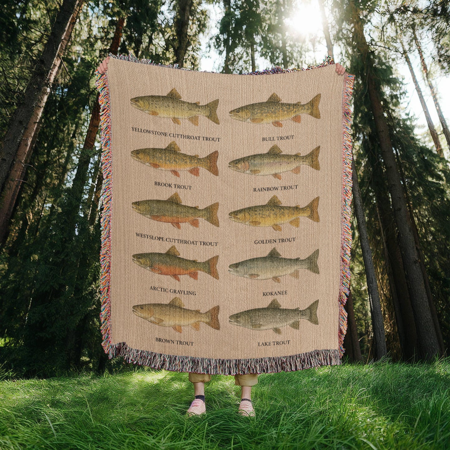 MT trout 50 x 60