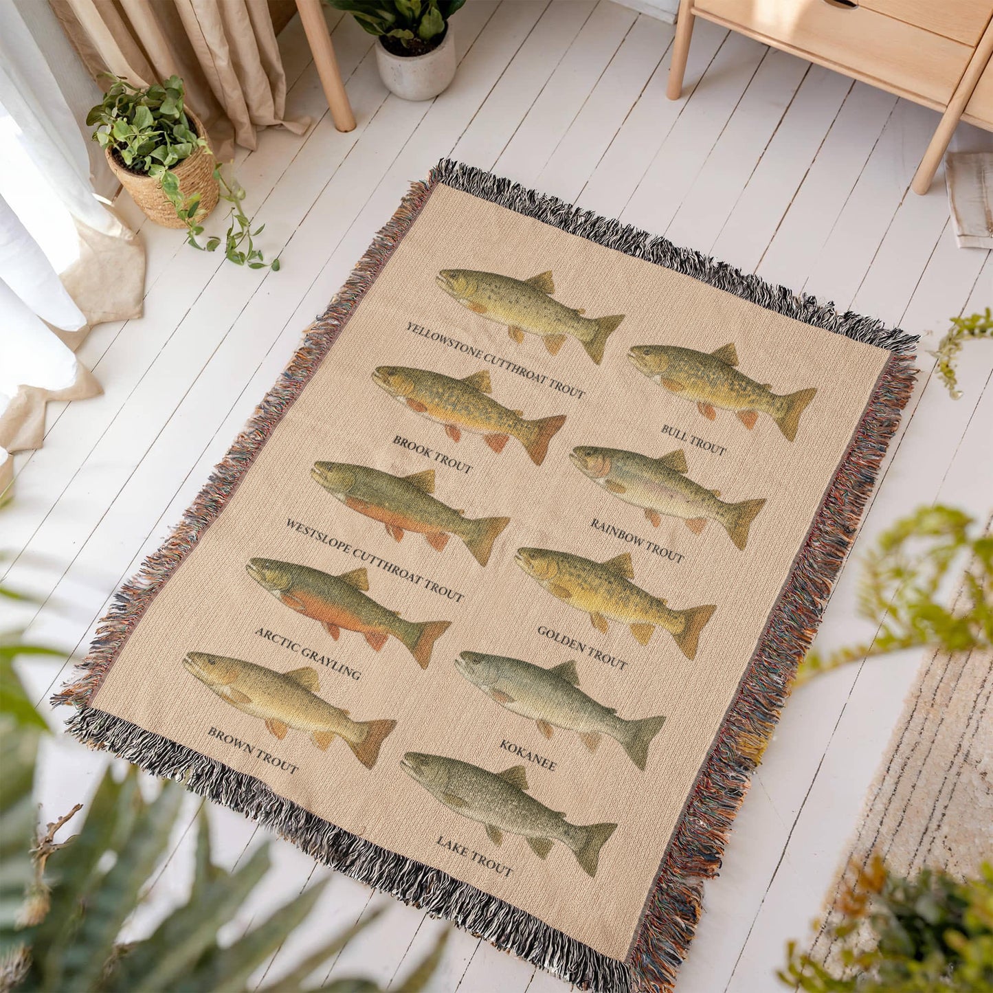 MT trout 50 x 60