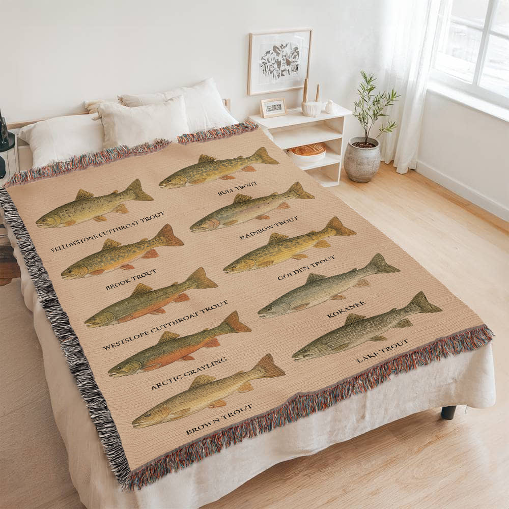 Montana Tropu 60 x  80
