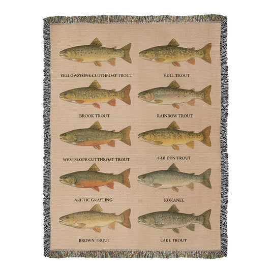 Montana Tropu 60 x  80